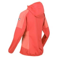 Regatta Womens/Ladies Tarvos IV Softshell Jacket (Neon Peach/Fusion Coral) 17 Regatta Womens/Ladies Tarvos IV Softshell Jacket (Neon Peach/Fusion Coral) -Outdoor Sporting Goods k8fe88d6a8cbbba2b92f58486512f7c49