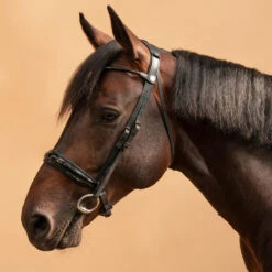 Horse & Pony Dressage Double Bridle 900 21 Horse & Pony Dressage Double Bridle 900 -Outdoor Sporting Goods k924a80dca12b68205226cb4ecbd0fc91