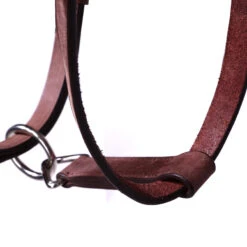 Trail Horse Riding Bridle / Halter And Reins Escape - Brown 33 Trail Horse Riding Bridle / Halter And Reins Escape - Brown -Outdoor Sporting Goods k9473251440898b6b9b71f0a4559d5d19