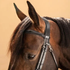 Horse Riding Glossy Leather Bridle With French Noseband For Horse & Pony 580 -Outdoor Sporting Goods k9b682c86c7b3f0d56fe6788ea46e8660