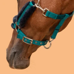 Horse Halter Comfort 24 Horse Halter Comfort -Outdoor Sporting Goods k9c731bbd73e13e7133991bdcd36654bc