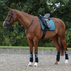 Weatherbeeta Prime Leopard Print Horse Dressage Saddlepad (Turquoise/Black) 9 Weatherbeeta Prime Leopard Print Horse Dressage Saddlepad (Turquoise/Black) -Outdoor Sporting Goods k9e2a996f95fc51538c77a9f156b8663c