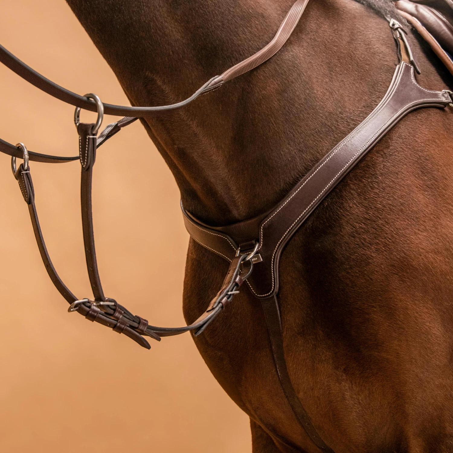 5-Point Hunting Martingale For Horse & Pony 5 5-Point Hunting Martingale For Horse & Pony - Image 3