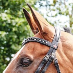 Lynton Flash Bridle With X2 Browbands -Outdoor Sporting Goods ka24300b27575ee022058691576cb5ddb
