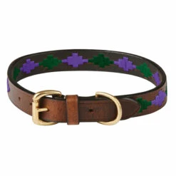 Weatherbeeta Polo Leather Dog Collar (Cowdray Brown/Purple)