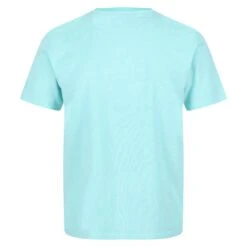 Regatta Caelum Men's Walking Short Sleeve T-Shirt 10 Regatta Caelum Men's Walking Short Sleeve T-Shirt -Outdoor Sporting Goods kaebbed8434437447c47f7dced0644d11