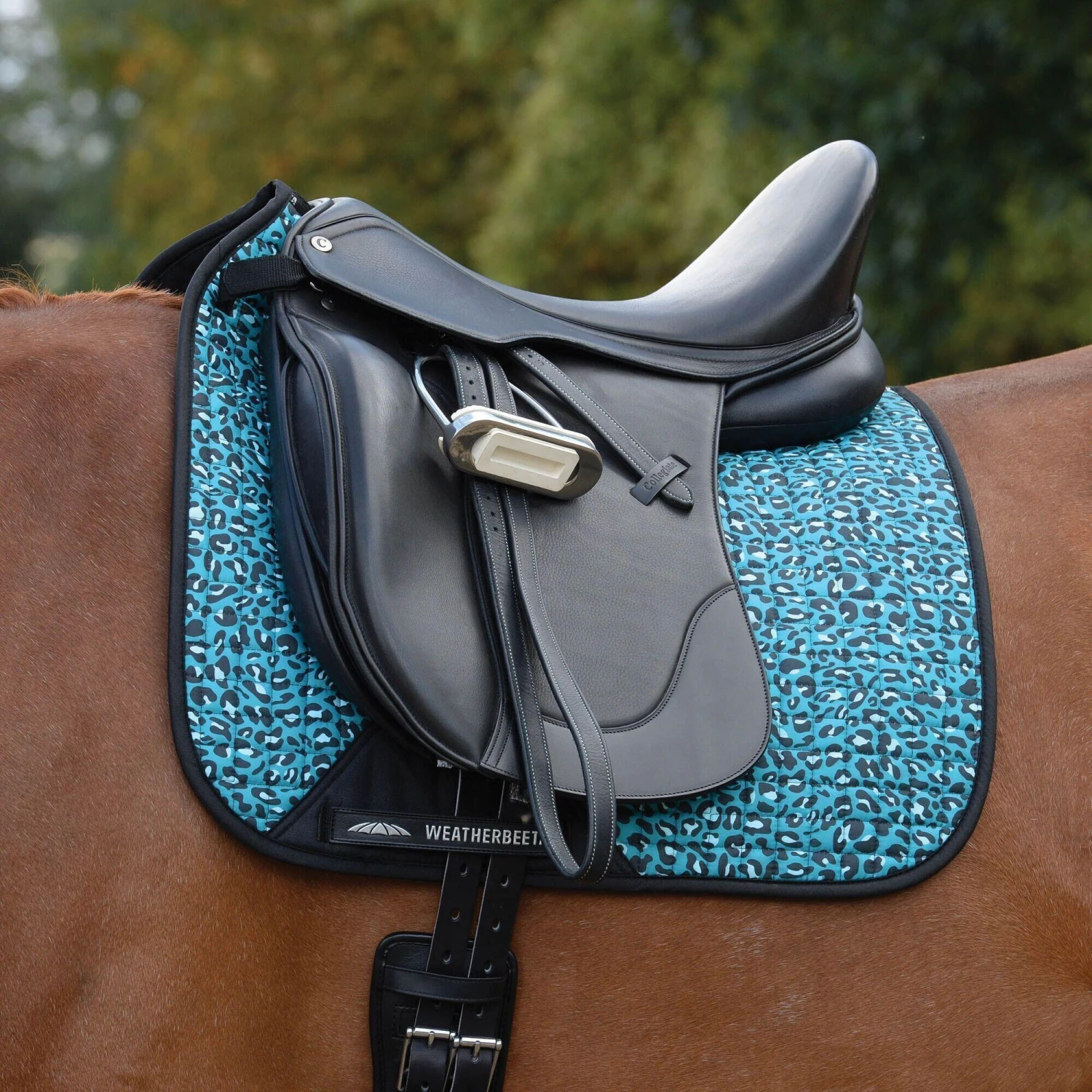 Weatherbeeta Prime Leopard Print Horse Dressage Saddlepad (Turquoise/Black) 5 Weatherbeeta Prime Leopard Print Horse Dressage Saddlepad (Turquoise/Black) - Image 3
