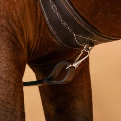 Elasticated Martingale For Horse & Pony 9 Elasticated Martingale For Horse & Pony -Outdoor Sporting Goods kbd534e93a13fcd7d89bfa2478d917dd2