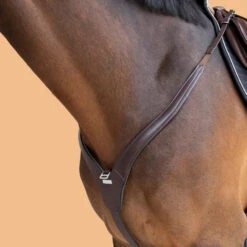 Horse And Pony Riding 3-Point Hunting Martingale 25 Horse And Pony Riding 3-Point Hunting Martingale -Outdoor Sporting Goods kc1003bb57ba042d10a4cecf2faa0e140