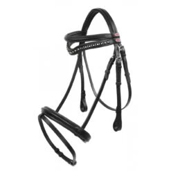 Lynton Flash Bridle With X2 Browbands -Outdoor Sporting Goods kc45d906de9ae6da13a37d918449e0690