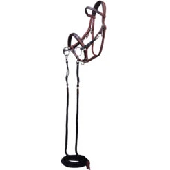 Trail Horse Riding Bridle / Halter And Reins Escape - Brown 23 Trail Horse Riding Bridle / Halter And Reins Escape - Brown -Outdoor Sporting Goods kc69d46e9d3d467852daeb44b9bcefb38