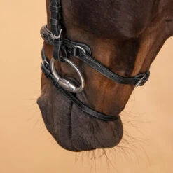 Horse & Pony Leather Bridle With French Noseband 580 -Outdoor Sporting Goods kca4c2c50f0ecdaa1a37eb8c0999addea