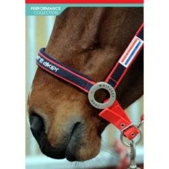 JOHN WHITAKER PADDED HEADCOLLAR 5 JOHN WHITAKER PADDED HEADCOLLAR -Outdoor Sporting Goods kca5aeb8420f6cd65d82e802a26dfe3eb