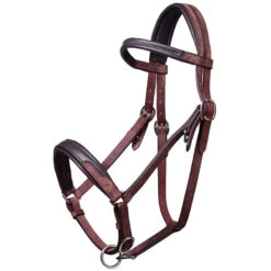 Trail Horse Riding Bridle / Halter And Reins Escape - Brown 35 Trail Horse Riding Bridle / Halter And Reins Escape - Brown -Outdoor Sporting Goods kcaf514b8264a8675ad8a9265f64dc504