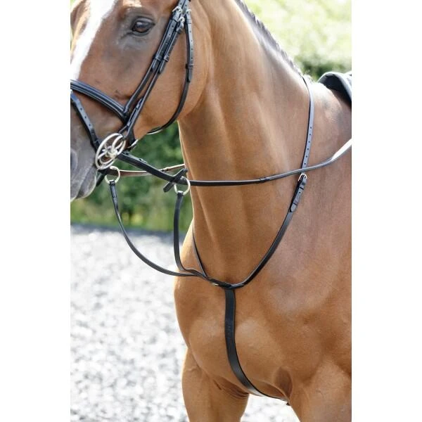Barton Martingale 3 Barton Martingale