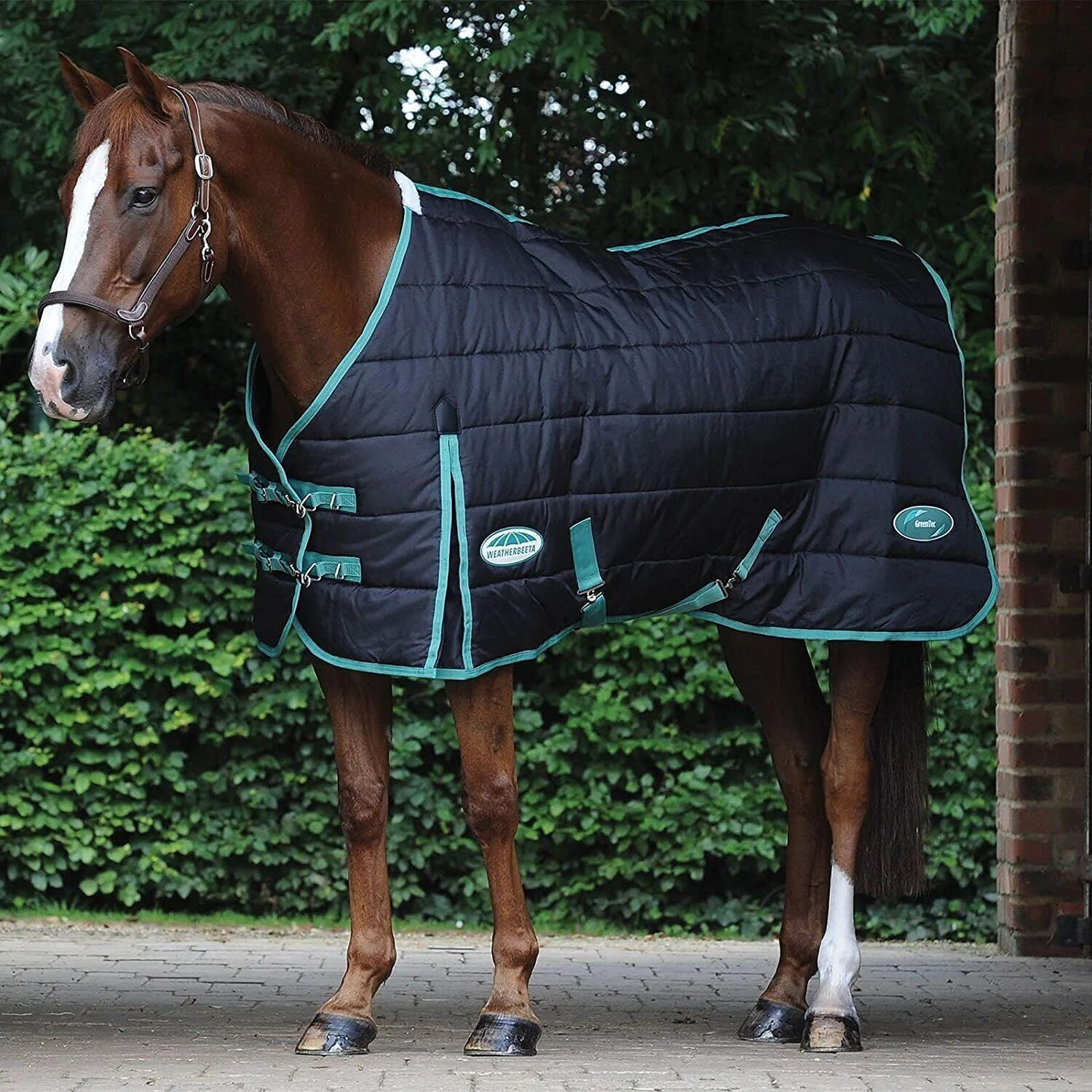 Weatherbeeta GreenTec StandardNeck Horse Stable Rug (Black/Bottle Green) 4 Weatherbeeta GreenTec StandardNeck Horse Stable Rug (Black/Bottle Green) - Image 2