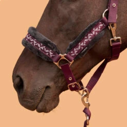 Horse Riding Halter + Leadrope Kit For Horse & Pony Comfort 21 Horse Riding Halter + Leadrope Kit For Horse & Pony Comfort -Outdoor Sporting Goods kd33012153e5d2b43303b840a5e0a0ead