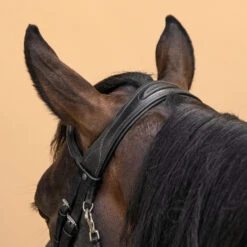 Horse & Pony Leather Bridle With French Noseband 580 -Outdoor Sporting Goods kd4966c3bdf189480d236bfdcc8b362c3