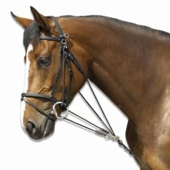 Horse Riding Schooling Gogue For Pony -Outdoor Sporting Goods kd55f52b7e71f644fe43ece10e5c9f22b