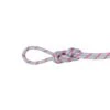 Mammut Alpine Dry Half Rope 8.0 Mm X 50m