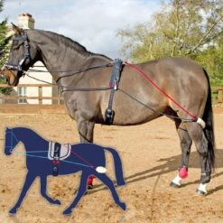 JOHN WHITAKER TRAINING SYSTEM 7 JOHN WHITAKER TRAINING SYSTEM -Outdoor Sporting Goods kd59c9b4cf7b7048f849b104ab30c30fa