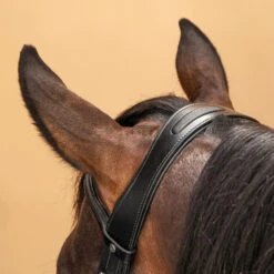 Horse Riding Glossy Leather Bridle With French Noseband For Horse & Pony 580 -Outdoor Sporting Goods kdadcc8e1067f3a913bfe97e0f9eba293