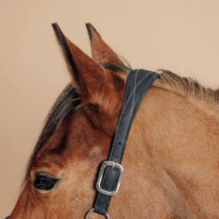 Horse Riding Synthetic Leather Halter For Horse & Pony 500 17 Horse Riding Synthetic Leather Halter For Horse & Pony 500 -Outdoor Sporting Goods kdd873bd1e9075f2f6c17a62b3be142e5