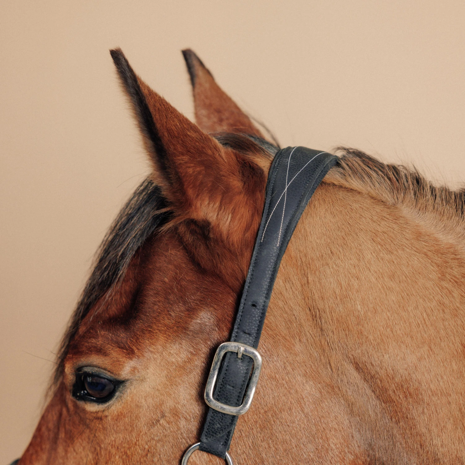 Horse Riding Synthetic Leather Halter For Horse & Pony 500 7 Horse Riding Synthetic Leather Halter For Horse & Pony 500 - Image 5