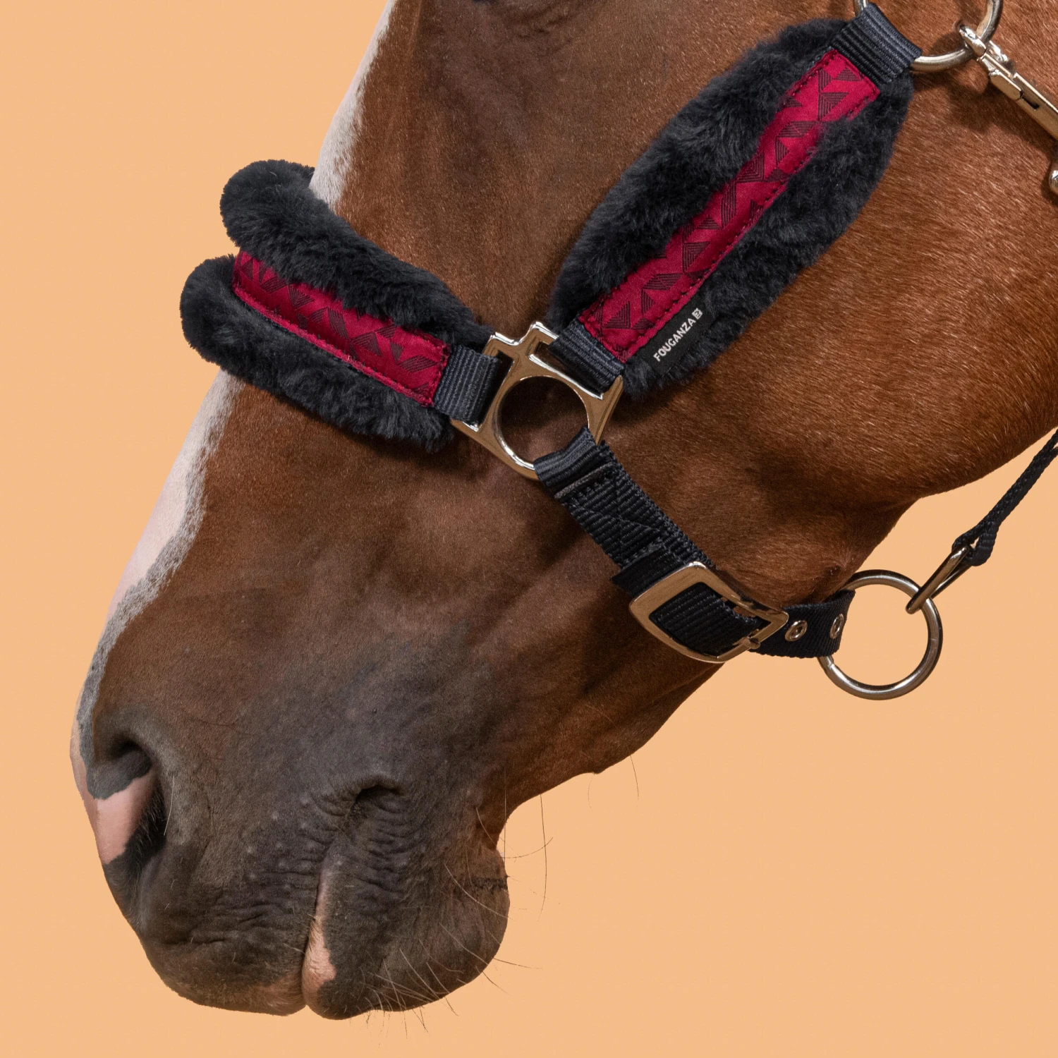 Horse Halter Comfort 15 Horse Halter Comfort - Image 13