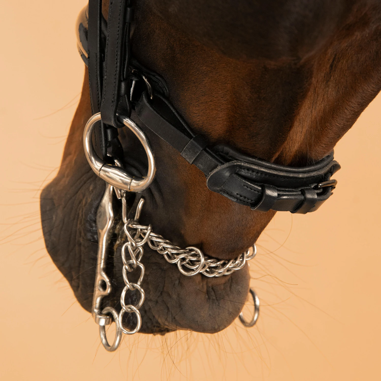 Horse & Pony Dressage Double Bridle 900 11 Horse & Pony Dressage Double Bridle 900 - Image 9