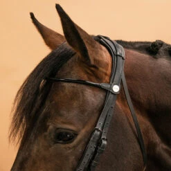 Horse & Pony Dressage Double Bridle 900 17 Horse & Pony Dressage Double Bridle 900 -Outdoor Sporting Goods kea6b7f7557744f4bf4006f398e141884