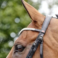 Lynton Snaffle Bridle With X2 Browbands -Outdoor Sporting Goods kea7ebad71edd6462fb52042b8eed8b7f