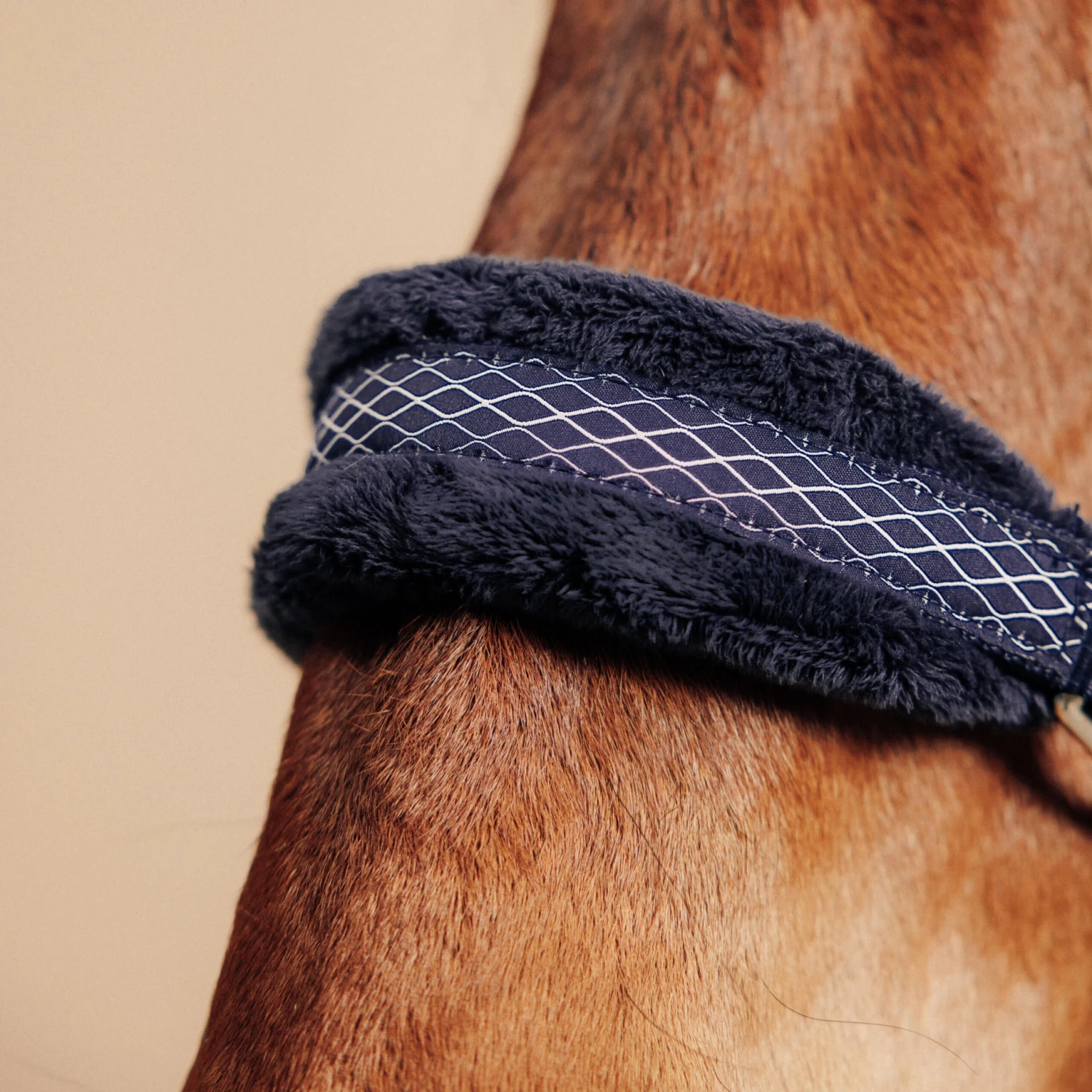 Horse Halter Comfort 6 Horse Halter Comfort - Image 4