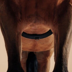 Horse Riding Horse Or Pony Lunging Roller -Outdoor Sporting Goods keaf4d99e3c0ec99aca6dc417e27b02d7