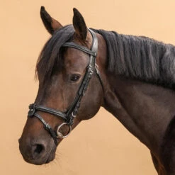 Horse & Pony Leather Bridle With French Noseband 580 -Outdoor Sporting Goods kebb193a9c8b9e32e23b1b9d79b209c05