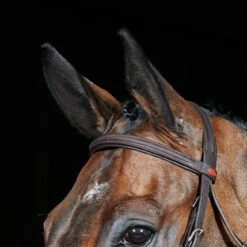 Ready To Ride Flash Bridle -Outdoor Sporting Goods kee74e8e055e80e1ce836ba7609b240dc