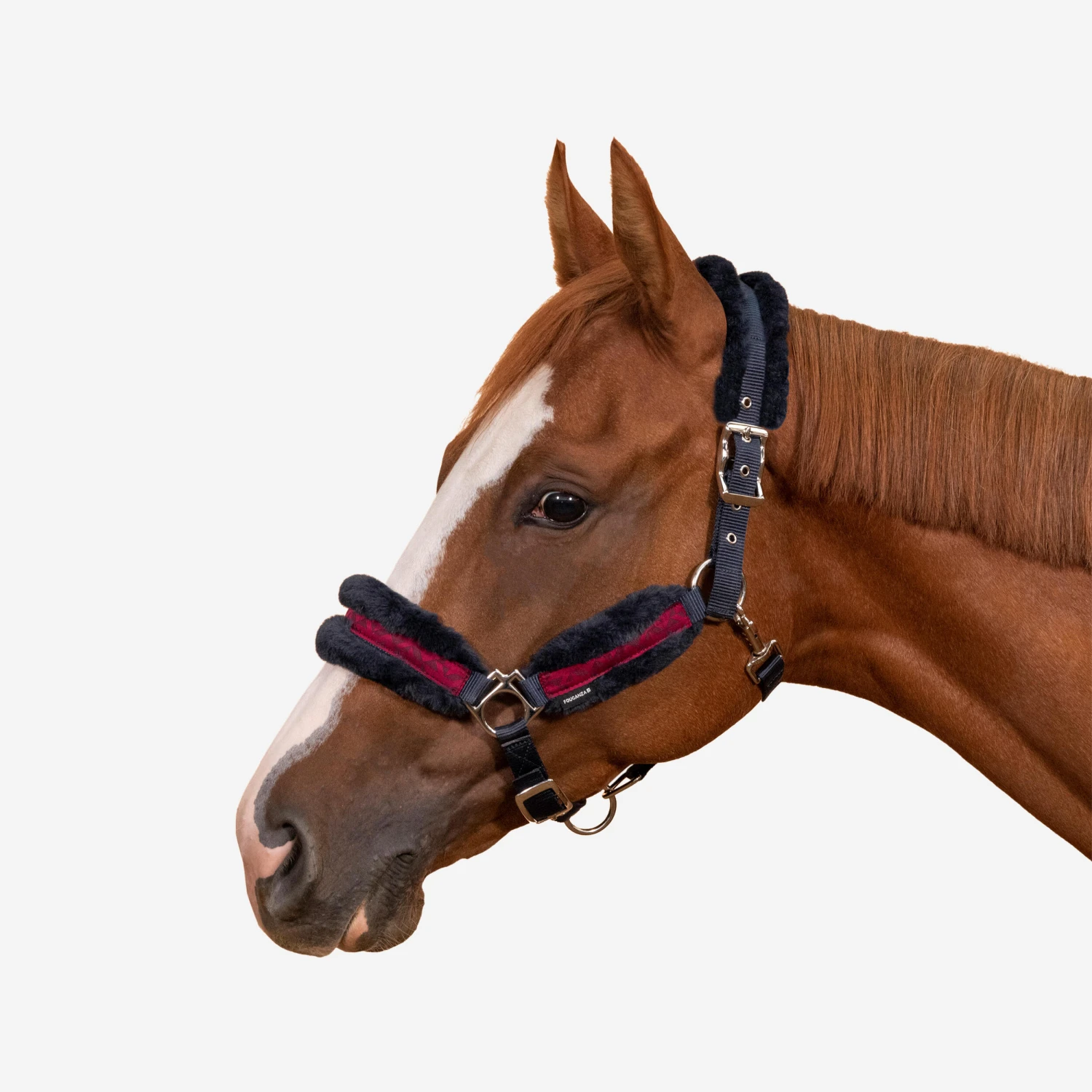 Horse Halter Comfort 12 Horse Halter Comfort - Image 10
