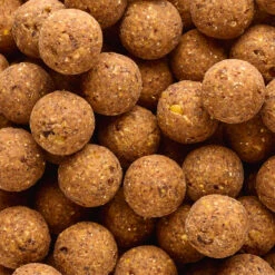 Carp Fishing Boilies NATURALSEED 24mm 2 Kg Hempseed - Tiger Nuts 23 Carp Fishing Boilies NATURALSEED 24mm 2 Kg Hempseed - Tiger Nuts -Outdoor Sporting Goods kf7cceb44c8f8dc4453b2082a3dd32e15
