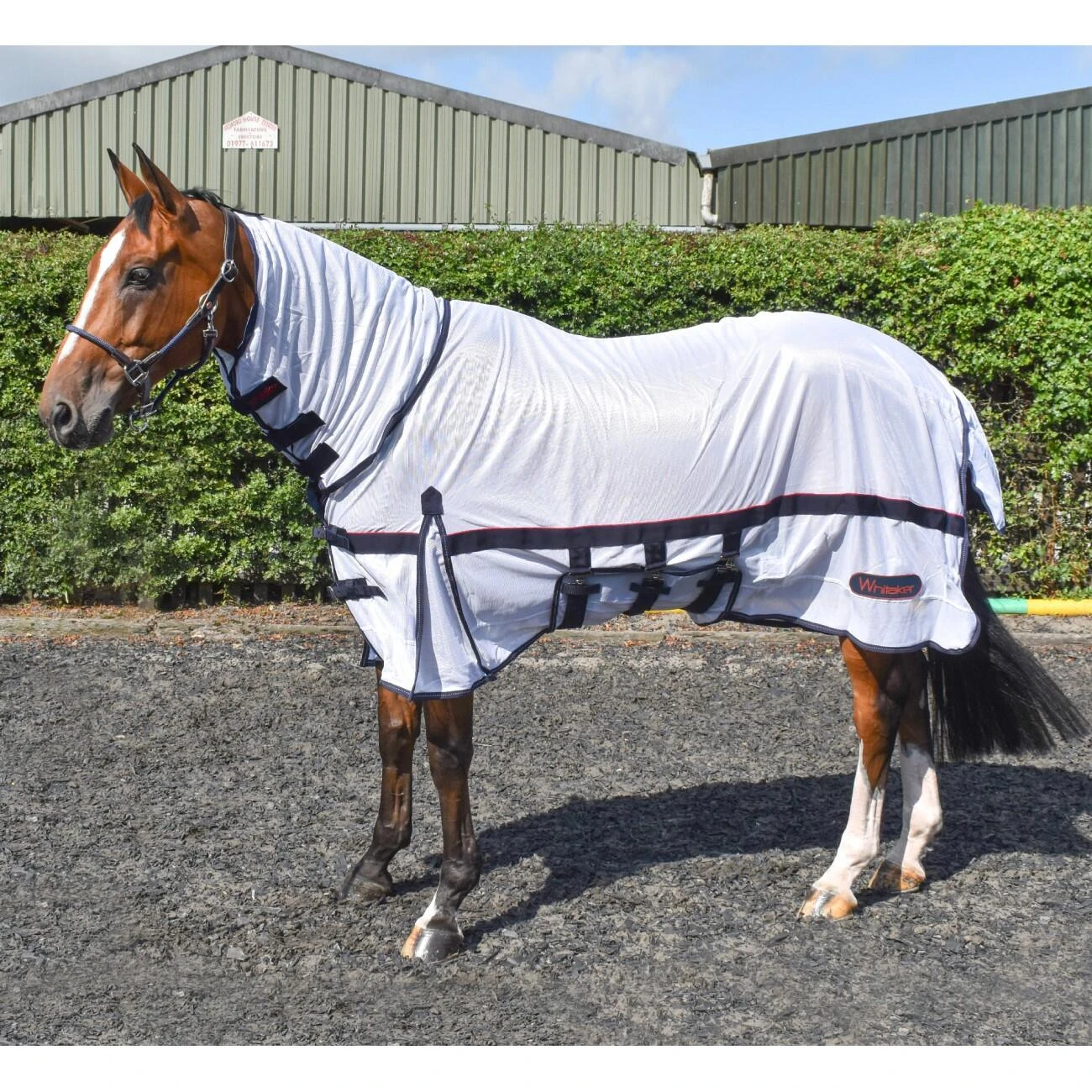 R202 Rastrick Fly Mesh Rug With Fixed Hood 5 R202 Rastrick Fly Mesh Rug With Fixed Hood - Image 3