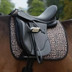 Weatherbeeta Prime Leopard Print Horse Dressage Saddlepad (Turquoise/Black) 13 Weatherbeeta Prime Leopard Print Horse Dressage Saddlepad (Turquoise/Black) -Outdoor Sporting Goods kf9923bd7a39f2b1c31e7d4b9462c04d5