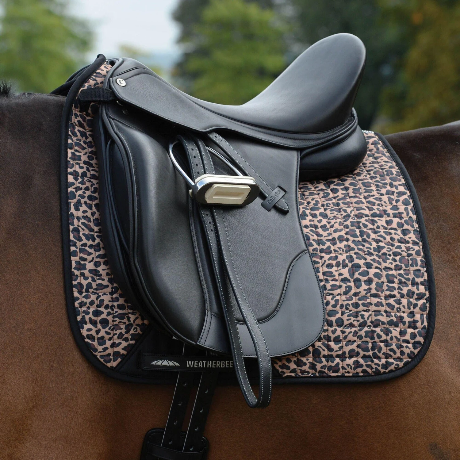 Weatherbeeta Prime Leopard Print Horse Dressage Saddlepad (Turquoise/Black) 8 Weatherbeeta Prime Leopard Print Horse Dressage Saddlepad (Turquoise/Black) - Image 6