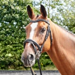 Lynton Flash Bridle With X2 Browbands -Outdoor Sporting Goods kfd93ae348c85dc2cfd58257f309fa5ef
